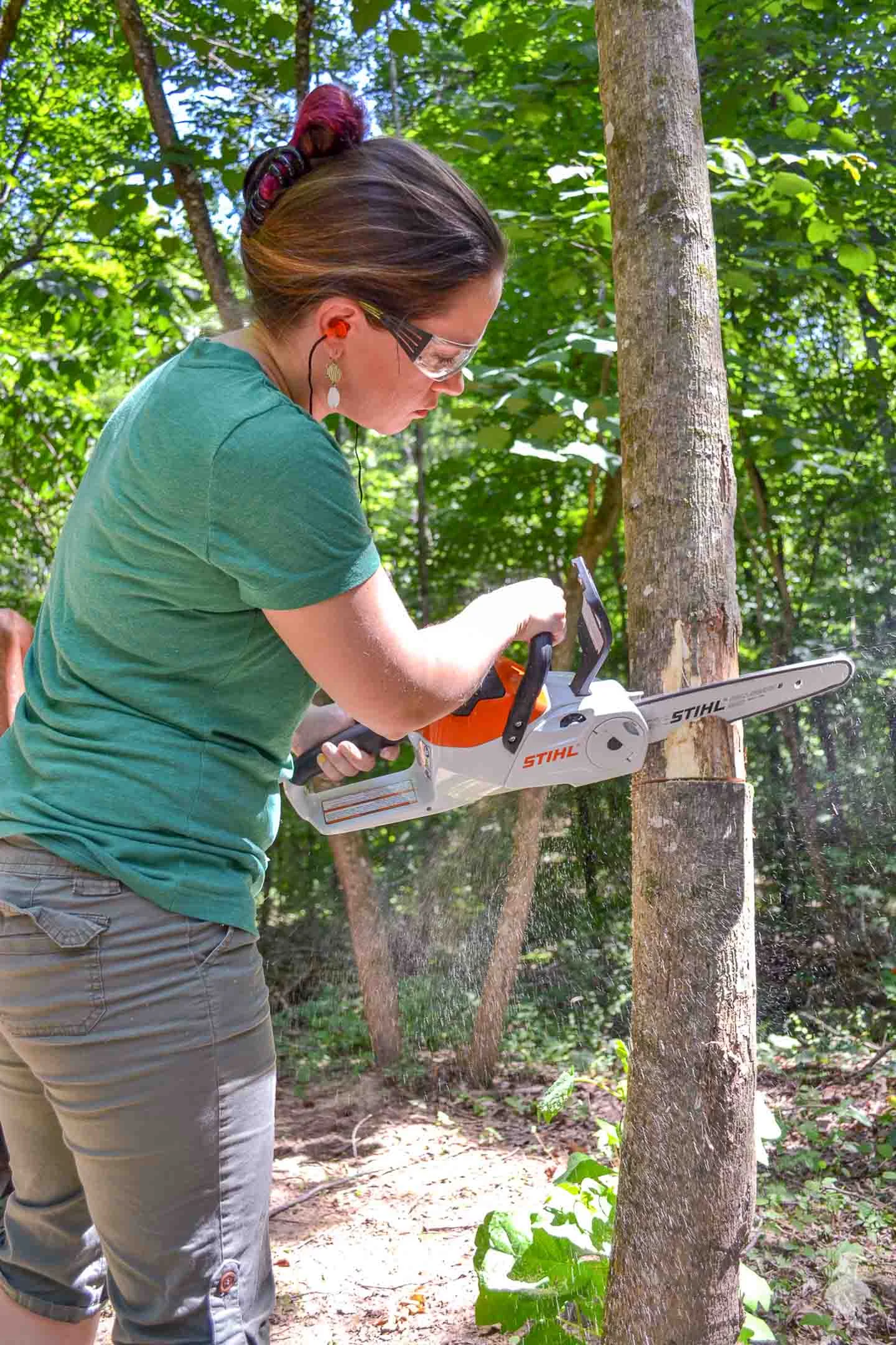 How to Cut down a Tree With a Chainsaw: Safe & Easy Steps