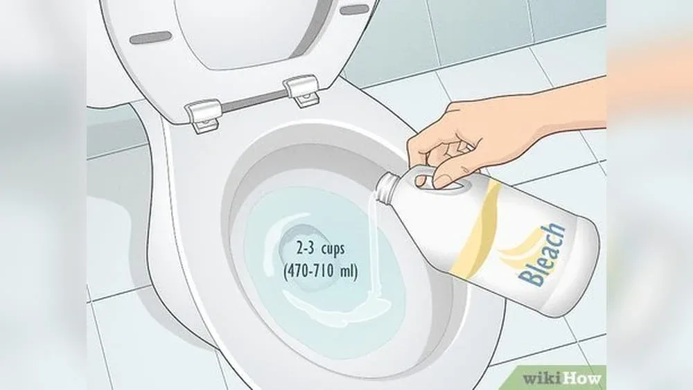 How to Clean a Plunger: Quick & Easy Step-by-Step Guide