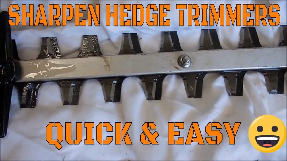 How to Clean Hedge Trimmer Blades: Easy Steps for Peak Performance