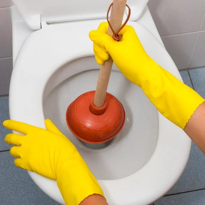 Shutterstock 49841149 Plunger