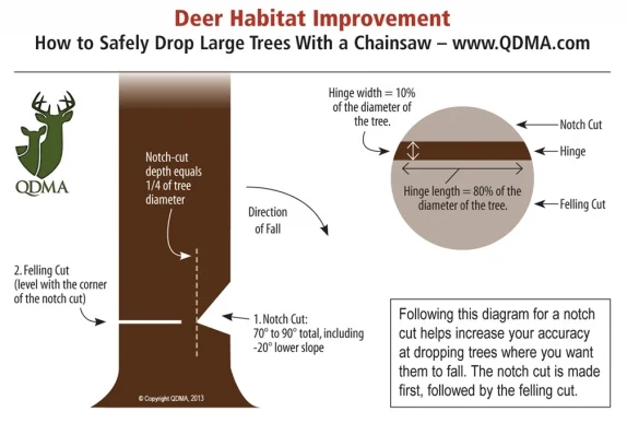 How to Cut down a Tree With a Chainsaw: Safe & Easy Steps