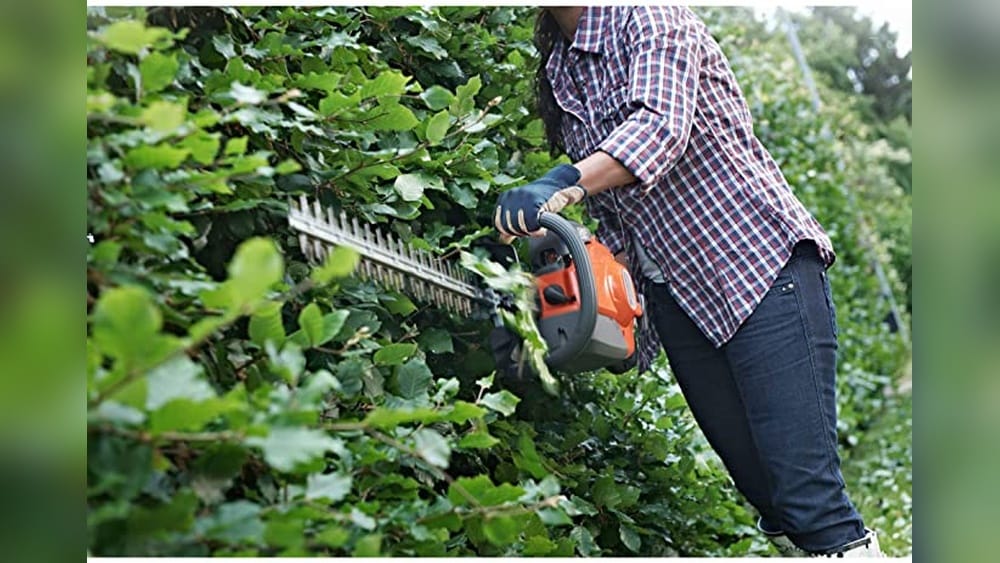 What is a Hedge Trimmer Used for: Essential Garden Tool Benefits