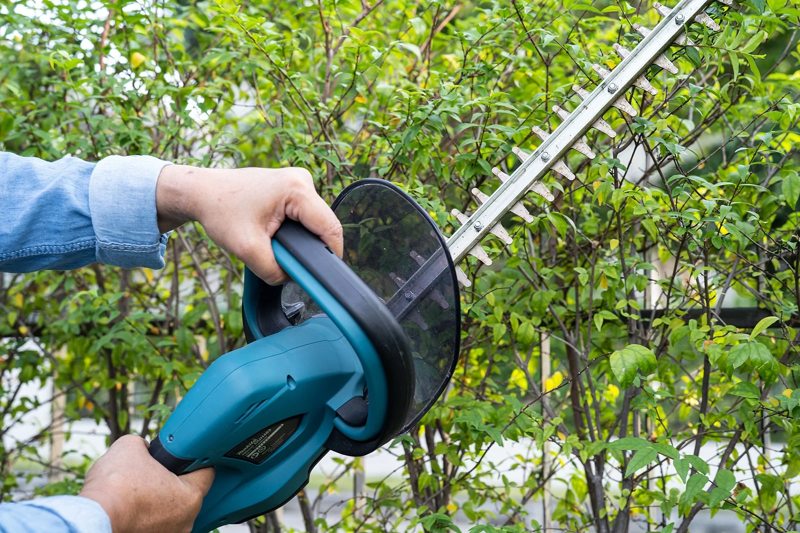 How to Use a Hedge Trimmer: Expert Tips for Perfect Hedges