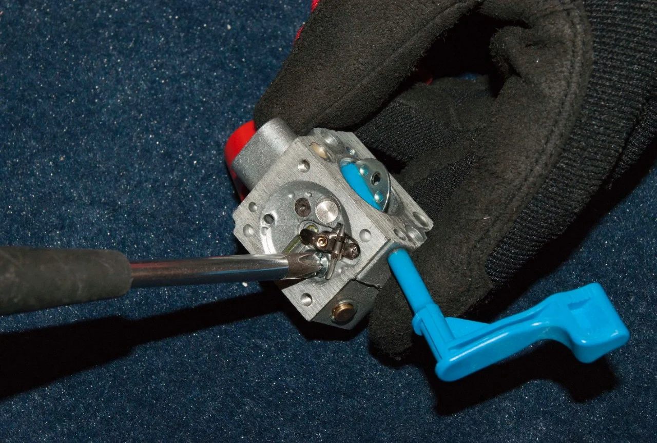 RG LB Rebuild Leaf Blower Carburetor S07a Remove the screw