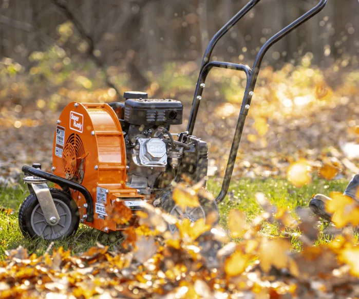 Eb364700b1c643d397e1accd013a1908