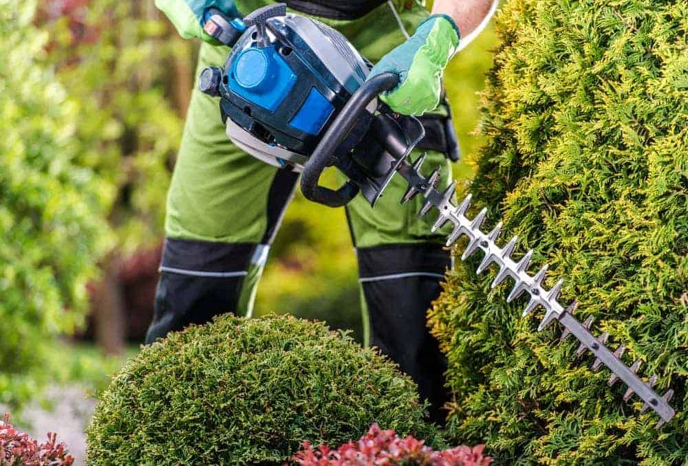 How to use a hedge trimmer 1