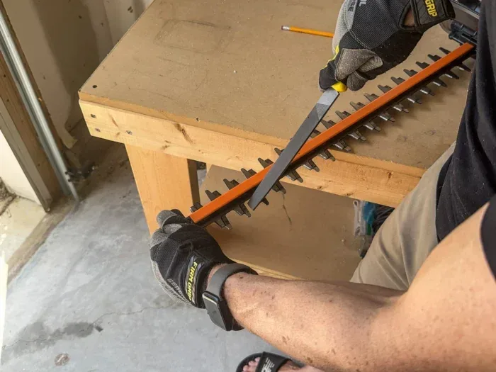 Sharpen hedge trimmer 004 6866e1de80977 piwp