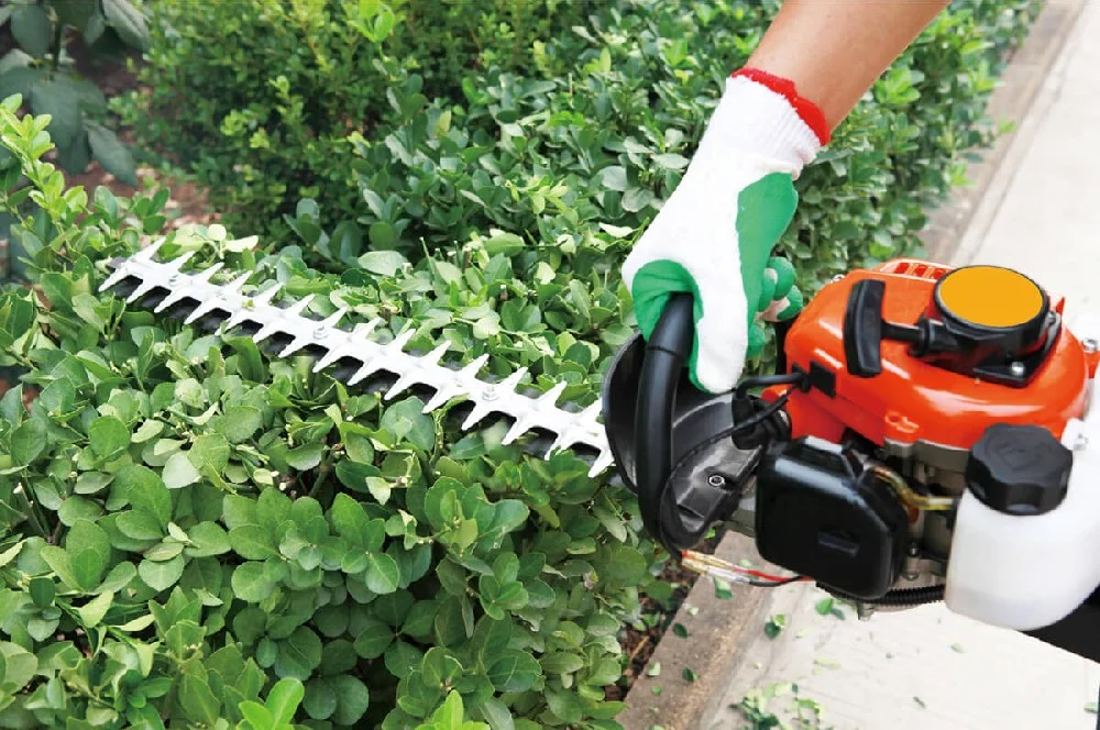 Trimming and shaping hedges