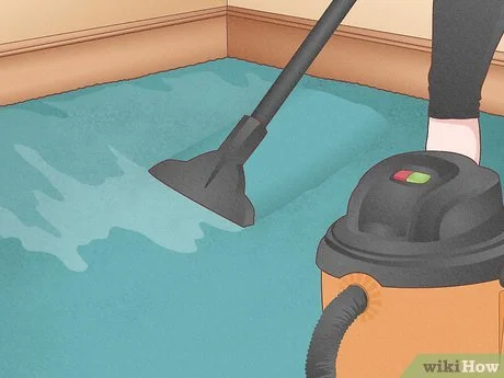 V4 460px Dry Wet Carpet Step 2 Version 6