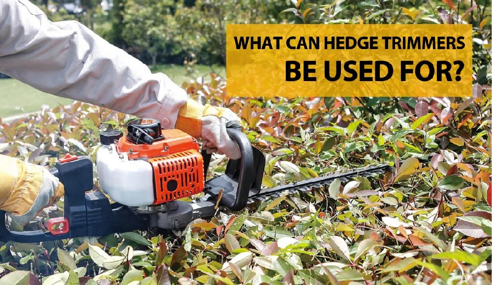 What can hedge trimmers be used for