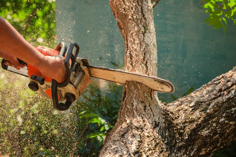 What is the best chainsaw bar length
