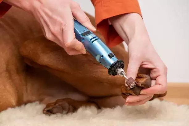 Die Grinder Vs Dremel: Which Tool Is Best for Your Projects?